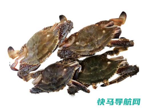 死梭子蟹还可以食用吗？梭子蟹死了多久不能吃了